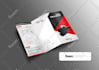 do awesome brochures, flyers, menus and banners
