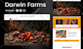build luxury website design and website development