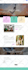 design a modern wix studio and wix website