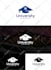 do a professional and custom logo design