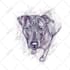 draw your pet into awesome scribble art