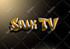 create stunning twitch overlays, logo, custom overlay twitch