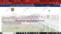 develop a professional business website for your business