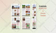 design canva newsletter, magazine, flyer, poster