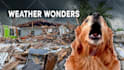 design viral youtube high CTR thumbnail