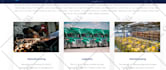 design and build a wordpress website for you