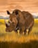 create an exotic animal or pet illustration for you