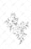 draw a custom floral tattoo for you