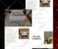 create wordpress website design, redesign wordpress business website development