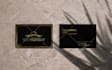 do business card and logo design for your company