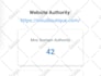 seo optimize and boost up your website for ranking