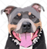 turn your photo into cartoon vector potrait