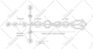 make vector line art or super detailed from your image