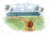 draw amazing children illustration for your book