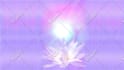 do any photoshop work, adobe illustrator, graphic design, and photo editing