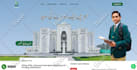 build wordpress website design, custom wordpress , business website development