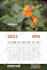 do flyer, poster, banner, leaflet, marketing material
