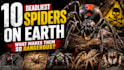 design 2 high qualty thumbnail for you within 12 hours