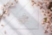 design a luxury elegant or feminine logo