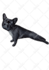 draw animals in digital art
