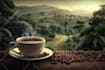 make coffee shop jazz music cozy rain video relaxing video
