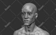 create realistic 3d characters