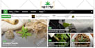 create cbd, cannabis, marijuana, and vape backlinks via guest post and SEO