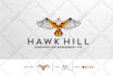 do geometric and minimalist logo design