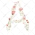 floral illustration commercial use