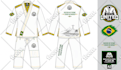 do custom rashguard design for MMA, bjj no gi