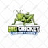 design eye catching logo and graphics just for you