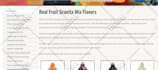 fix error, edit and customize of wordpress, joomla, shopify