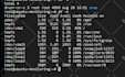 set up and teach zabbix