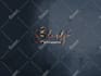 design script calligraphy stylish handwritten signature logo