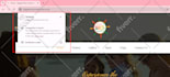 update wordpress plugins and do theme customization