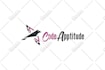 make a professional logo design to elevate your brand