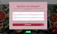 be your mailerlite design expert