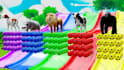 create awesome 3d animal animation for kids