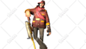 create a professional sfm poster for you