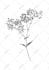 do cute original tattoo design for you