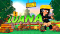 create a detailed minecraft banner
