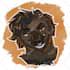 draw your furry art headshot