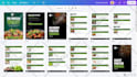 design editable canva ebook or lead magnet PDF