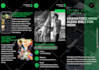 design a flyer, bifold, trifold brochure, poster or leaflet