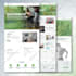 build wordpress website development for your business