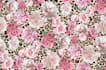 seamless pattern, pattern design, textile design