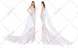 illustrate fashion and wedding dresses