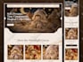 design ecommerce shopify website design UI UX in figma