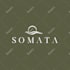 create custom business logo design and brand identity