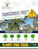 design a professional flyer, leaflet, or poster